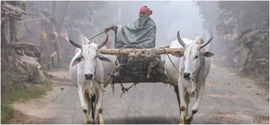 মাঘের শুরুতেই শীতের বিদায় ঘণ্টা, আবহাওয়ার বড় আপডেট দিল হাওয়া অফিস
