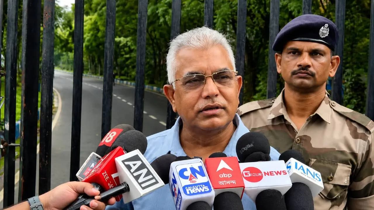 ‘কান টানলেই মাথা আসবে, গন্তব্য কালীঘাট!’ টুলু মণ্ডল কাণ্ডে তৃণমূলকে তুলোধোনা দিলীপ ঘোষের
